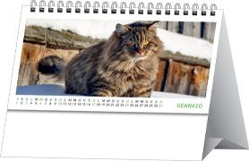 Calendario da tavolo Cani e Gatti