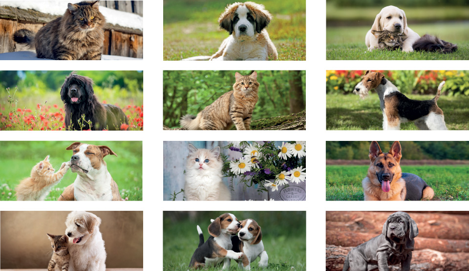 Calendari da banco Cani e Gatti
