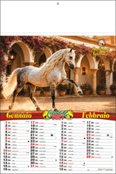 Calendario Cavalli