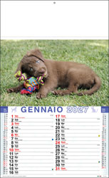 Calendario Cani e Gatti