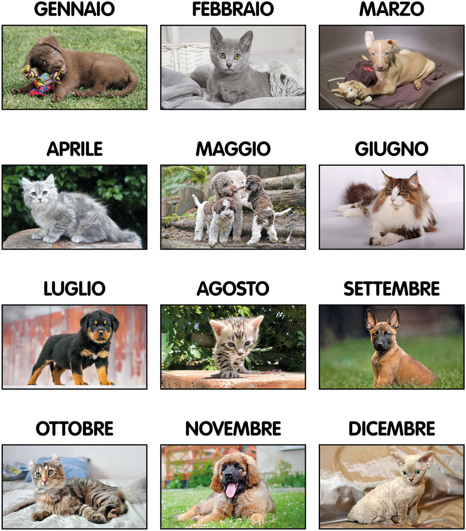 Calendari Cani e Gatti