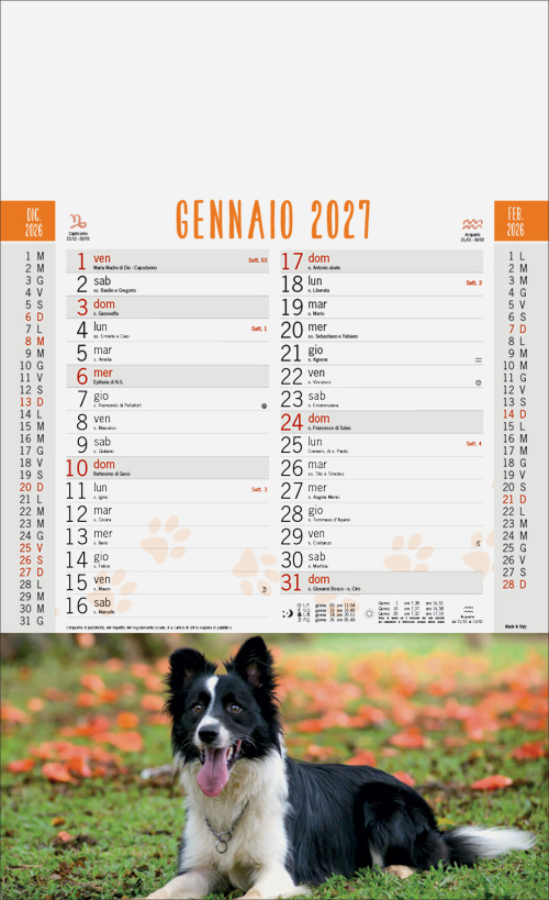 Calendario Micio e Fido