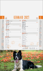 Calendario Micio e Fido