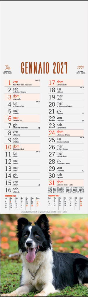 Calendario Cani e Gatti